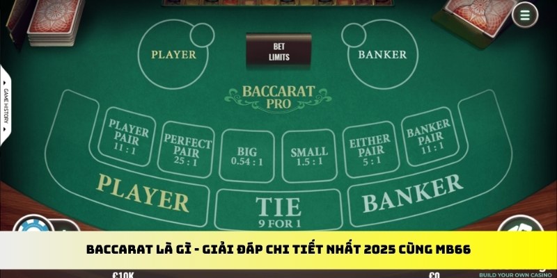 slot8 bet gà chọi cu cần
