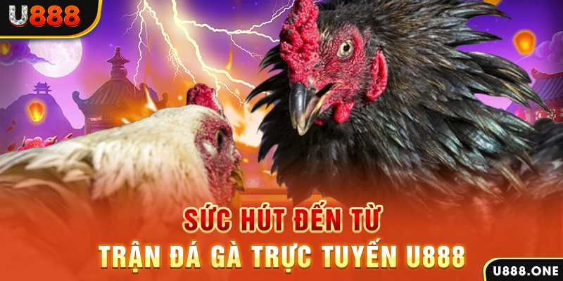 slot8 bet nổ hũ b29 là gì