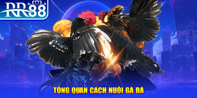 slot8 bet VA Điện Tử
