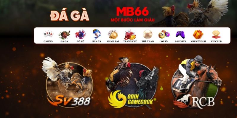 slot8 bet đăng nhập poker số 1