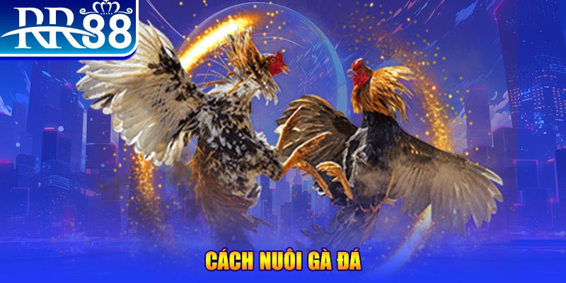 slot8 bet xổ số an giang