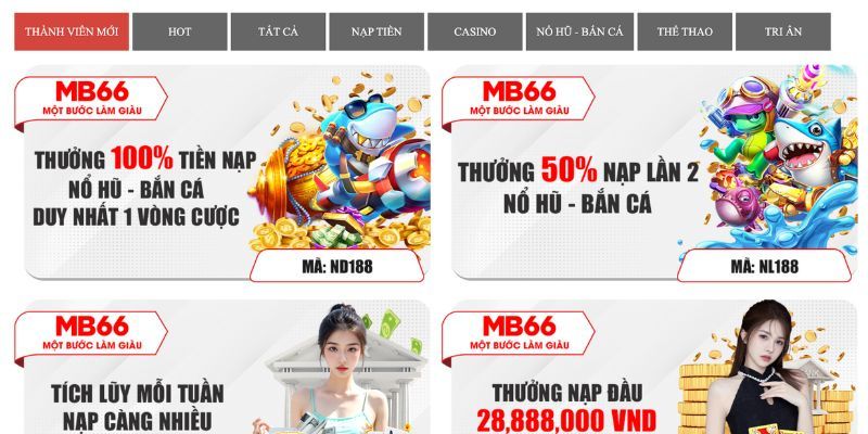 slot8 bet đá gà trực tiếp campuchia