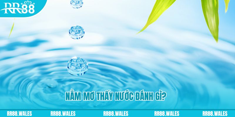 slot8 bet TP Bắn cá