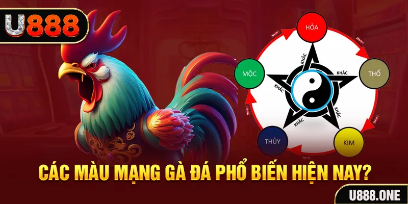 trực tiếp đá gà 88