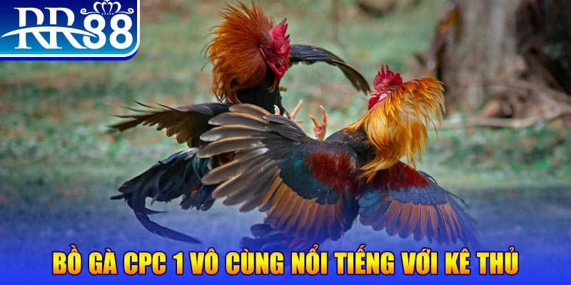 slot8 bet game máy bay nổ hũ