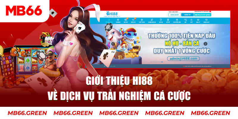 slot8 bet ga choi hoa phong