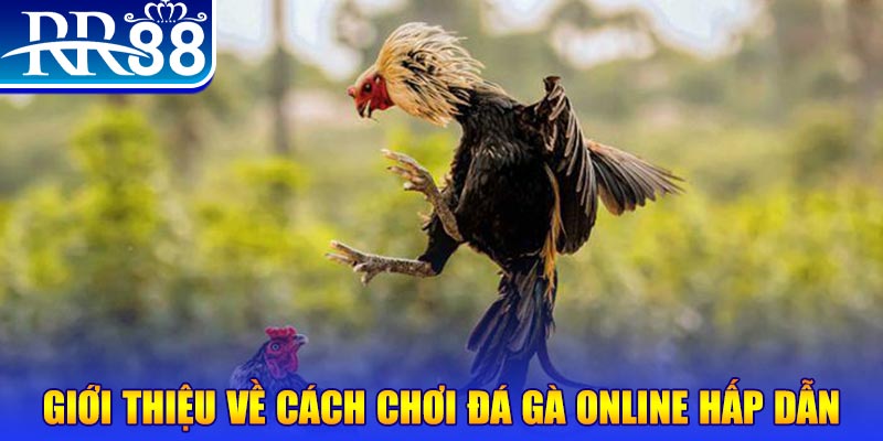 slot8 bet game nổ hũ rút tiền mặt là gì