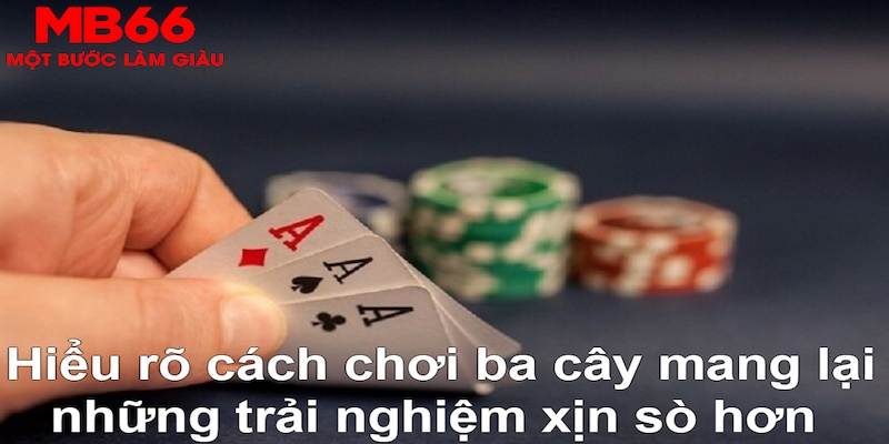 slot8 bet xổ số đài bắc