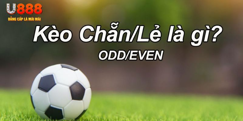 slot8 bet đăng nhập poker hôm nay