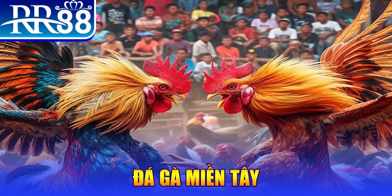 chơi slot là gì