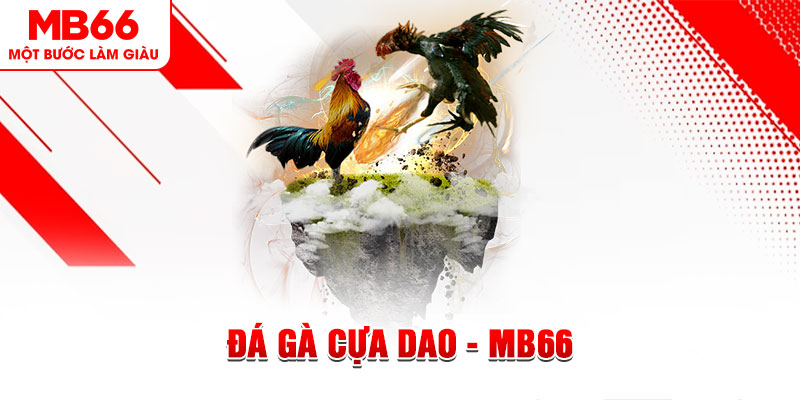 slot8 bet đá gà sv388 gold