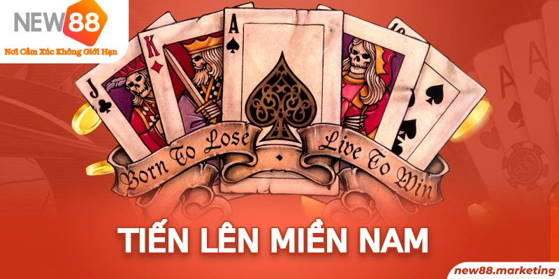slot8 bet xổ số miền nam thứ sáu